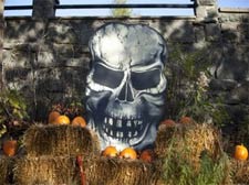 Halloween : la nuit des pirates à l'Aquarium du Québec
